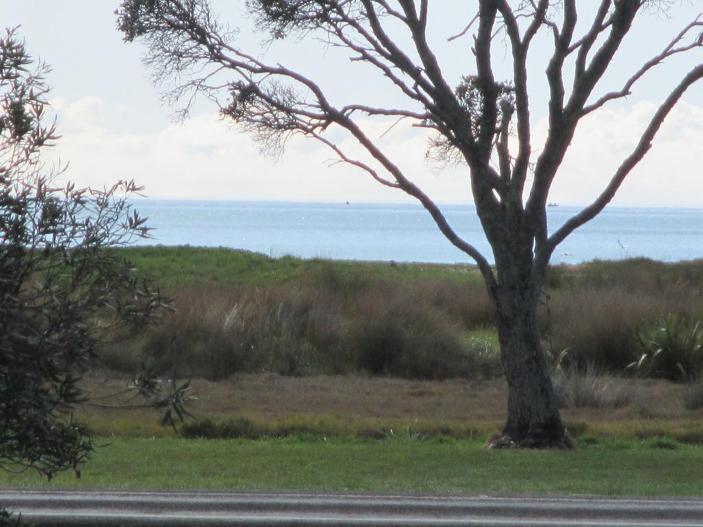 The Chocolate Box Apartment Whitianga Room photo