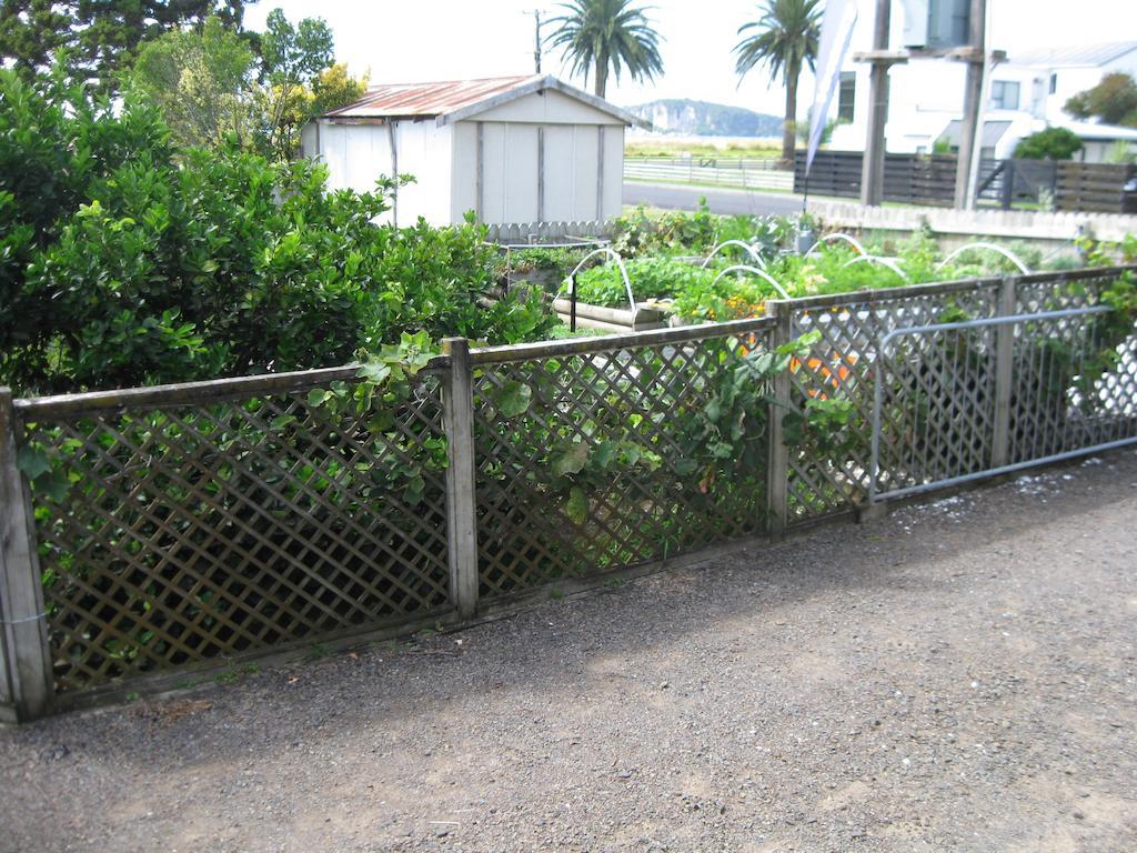 The Chocolate Box Apartment Whitianga Room photo